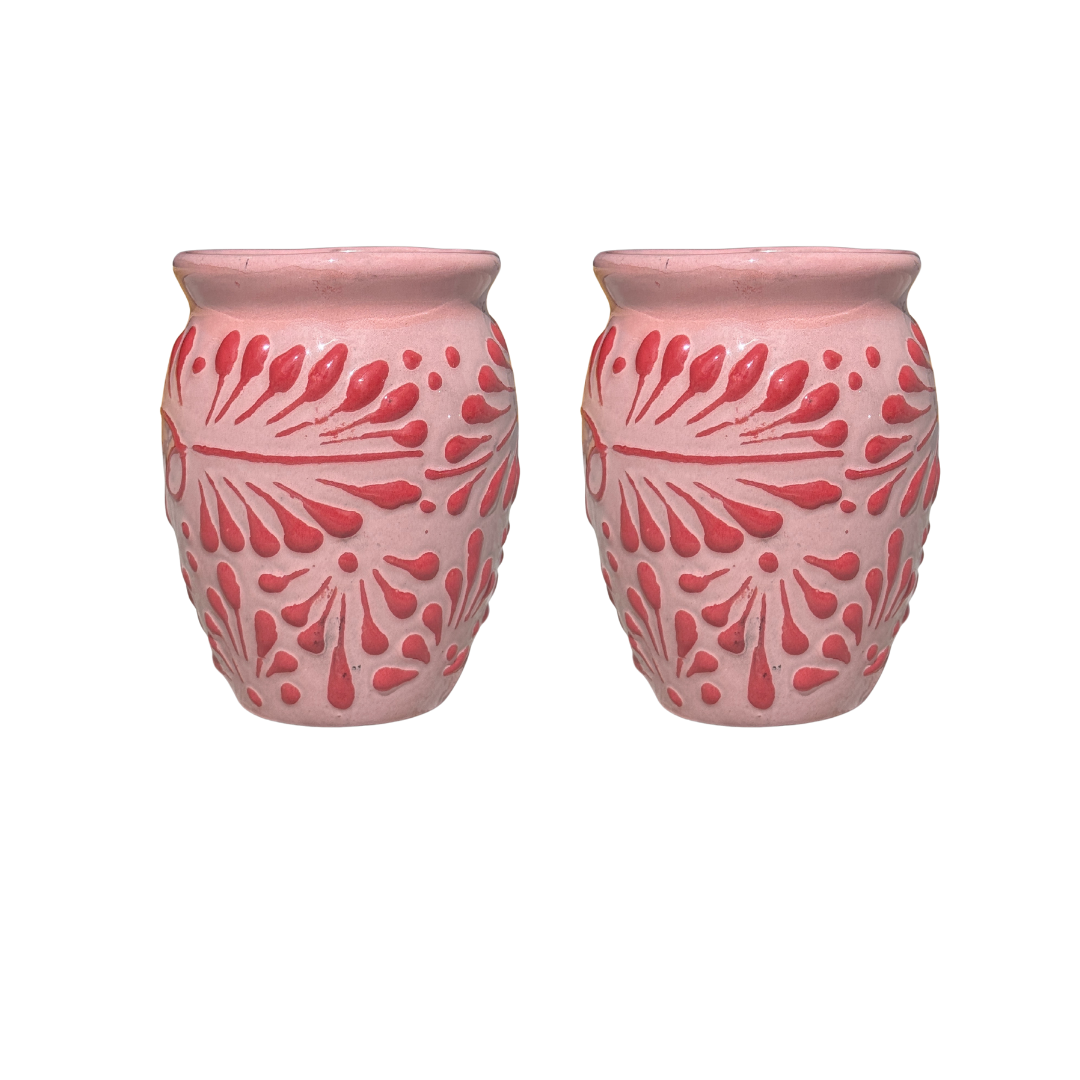 2PCS CANTARITO ROSA CON ROSA 500ML